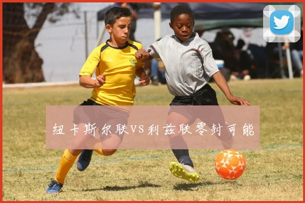 纽卡斯尔联vs利兹联零封可能
