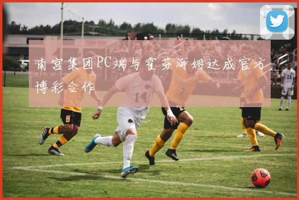 南宫集团PC端与霍芬海姆达成官方博彩合作