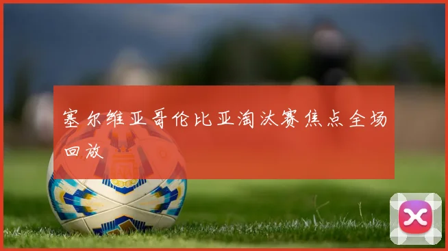 塞尔维亚哥伦比亚淘汰赛焦点全场回放
