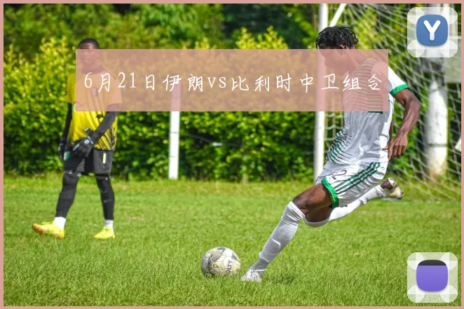 6月21日伊朗vs比利时中卫组合